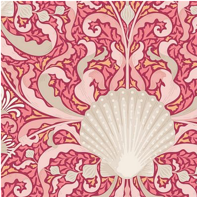 Cotton Beach - Scallop Shell — Roxanne's